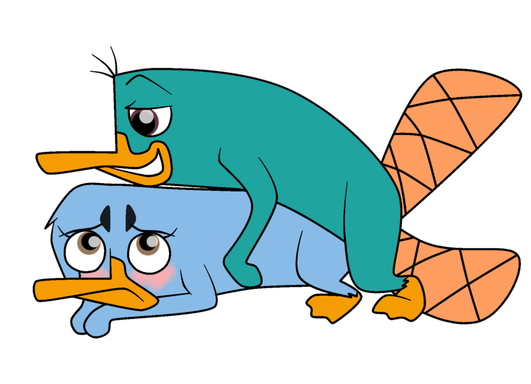the perry platypus Sisters of battle