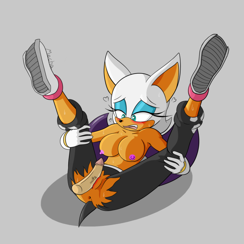 rouge x tails the bat The last of us xx