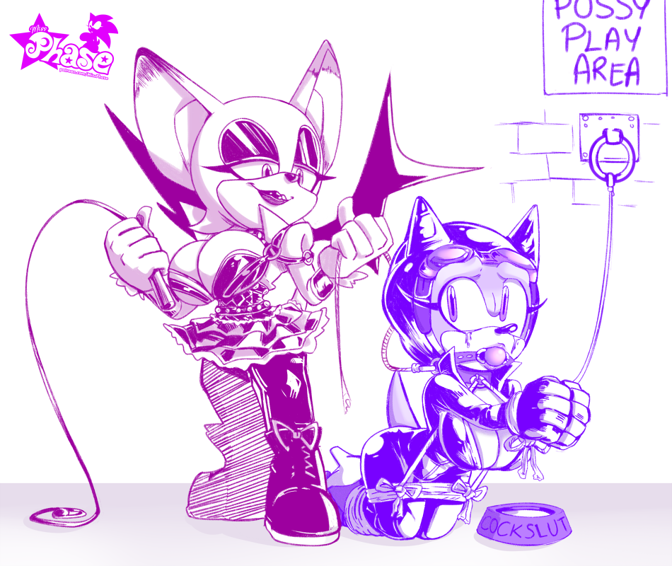 rouge and x sonic amy Male info chan x reader
